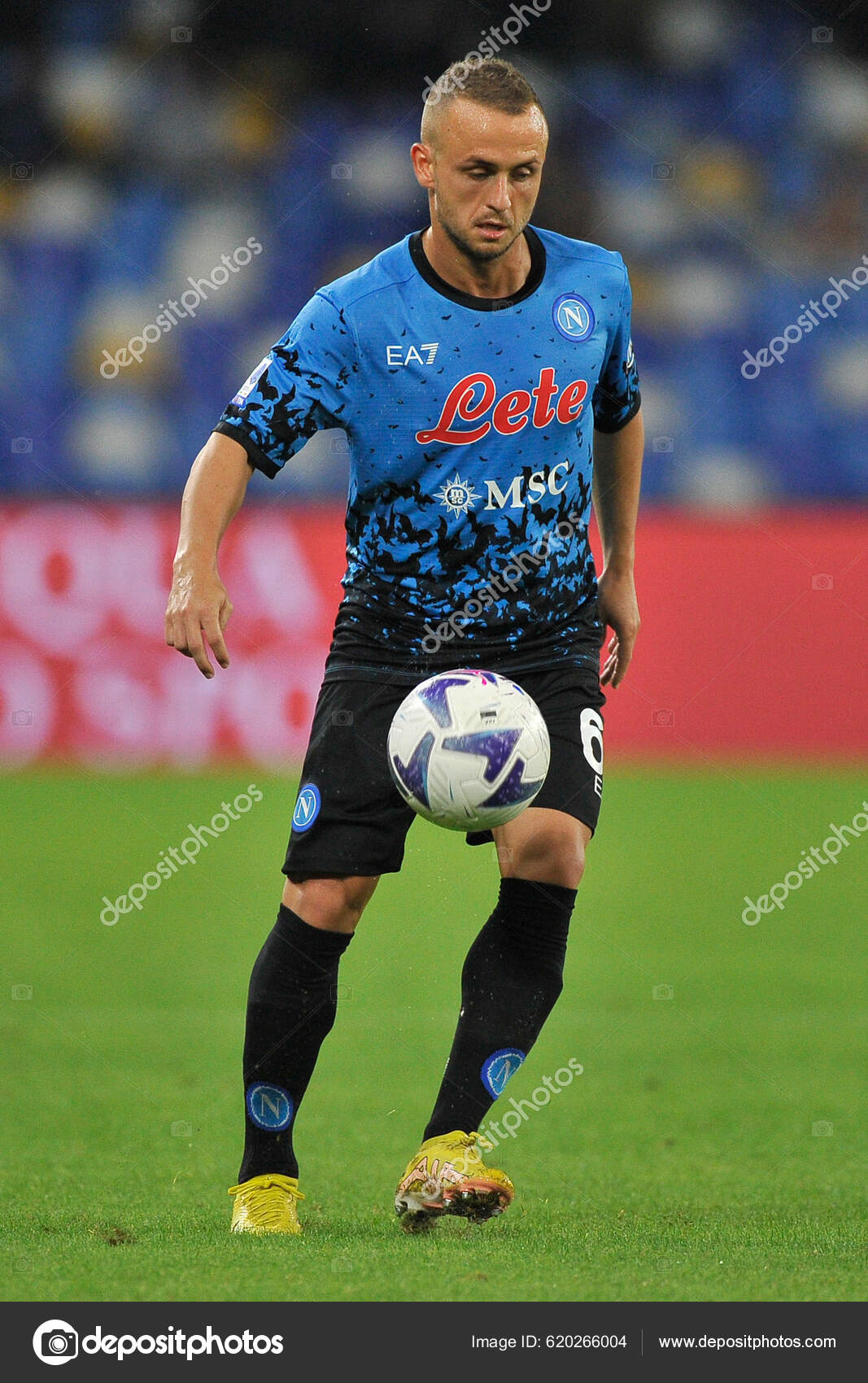 パルナシウス・デルフィアス（1メス、ロシア/カザフスタン） 西洋古刊