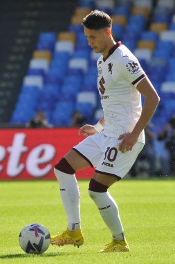 Torino 'lu Sasa Lukiç, Napoli ile Torino arasındaki İtalya Serie A ligi maçında, Torino 3, Torino 1, Diego Armando Maradona Stadyumu' nda oynandı..