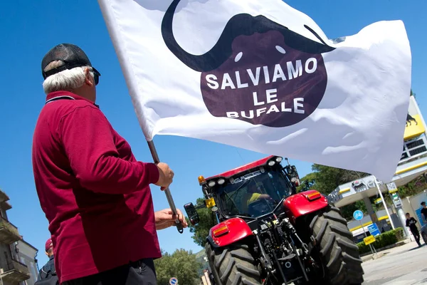 Çiftçi Campania Bufalo Yetiştiricilerinin Gösterisi Sırasında Üzerinde Buffaloları Kurtaralım Yazan — Stok fotoğraf