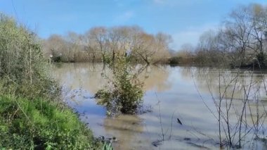 The level of the Volturno river rises in the city of Capua. The heavy rainfall and the abundant rains that have hit the Campania region have raised the level of the Volturno River, causing flooding, overflowing and inconvenience to the population.