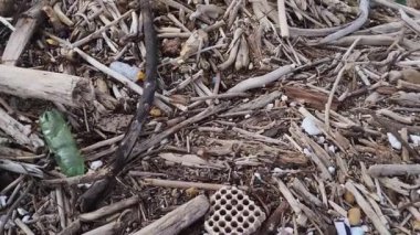 After the heavy rains and the abundant rainfall that caused strong storm surges and the flooding of the Volturno river and its overflowing, waste of all kinds poured onto the beaches of Castel Volturno.