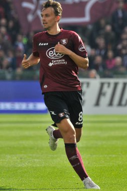 Emil Bohinen player of Salernitana, during the match of the Italian Serie A league between Salernitana vs Torino final result, Salernitana 1, Torino 1, match played at the Arechi stadium.