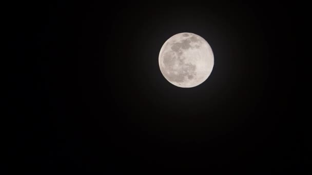 Ostatnia Pełnia Księżyca Zimy 2023 Znana Również Jako Pełnia Dżdżownic — Wideo stockowe