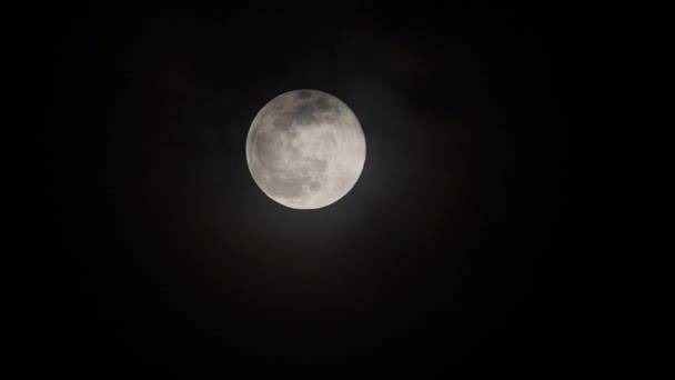 Dernière Pleine Lune Hiver 2023 Aussi Connu Comme Pleine Lune — Video