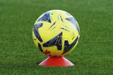 Bal, İtalya Serie A Ligi maçında Salernitana - Bologna final maçı, Salernitana 2, Bologna 2, Arechi Stadyumu 'nda oynandı..