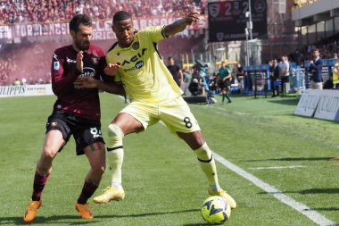 Salernitana 'dan Antonio Candreva ve Udinese' den Marvin Zeegelaar, İtalya Serie A Ligi maçında Salernitana - Udinese final maçı, Salernitana 2, Udinese 2, Arechi Stadyumu 'nda oynandı..