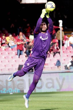 Fiorentina 'lı Pietro Terracciano oyuncusu, İtalya Serie A Ligi' nde Salernitana-Fiorentina final maçı, Salernitana 3, Fiorentina 3, Arechi Stadyumu 'nda oynandı..