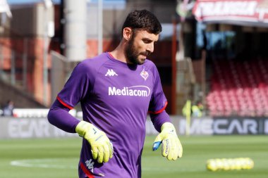 Fiorentina 'lı Pietro Terracciano oyuncusu, İtalya Serie A Ligi' nde Salernitana-Fiorentina final maçı, Salernitana 3, Fiorentina 3, Arechi Stadyumu 'nda oynandı..