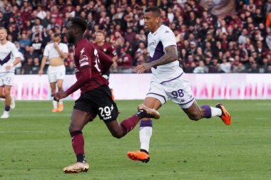 Fiorentina 'dan Igor Julio dos Santos de Paulo ve Salernitana' dan Boulaye Dia 'nın oyuncusu Salernitana-Fiorentina maçının final maçında Salernitana 3, Fiorentina 3, Arechi Stadyumu' nda oynandı..
