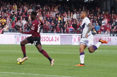 Fiorentina 'dan Igor Julio dos Santos de Paulo ve Salernitana' dan Boulaye Dia 'nın oyuncusu Salernitana-Fiorentina maçının final maçında Salernitana 3, Fiorentina 3, Arechi Stadyumu' nda oynandı..