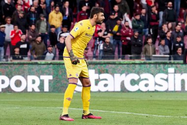 Fiorentina 'lı Pietro Terracciano oyuncusu, İtalya Serie A Ligi' nde Salernitana-Fiorentina final maçı, Salernitana 3, Fiorentina 3, Arechi Stadyumu 'nda oynandı..