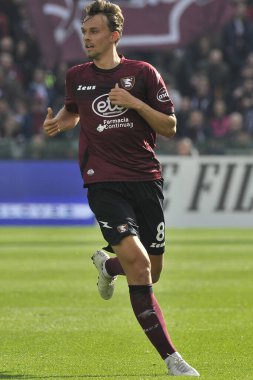 Emil Bohinen player of Salernitana, during the match of the Italian Serie A league between Salernitana vs Torino final result, Salernitana 1, Torino 1, match played at the Arechi stadium.