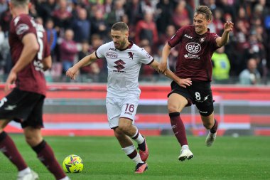 Salernitana 'dan Emil Bohinen ve Torino' dan Nikola Vlai, İtalya Serie A Ligi maçında Salernitana ile Torino arasında oynanan final maçı olan Salernitana 1, Torino 1, Arechi Stadyumu 'nda oynandı.
