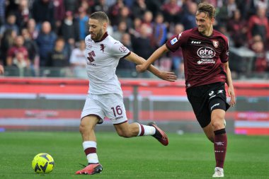 Salernitana 'dan Emil Bohinen ve Torino' dan Nikola Vlai, İtalya Serie A Ligi maçında Salernitana ile Torino arasında oynanan final maçı olan Salernitana 1, Torino 1, Arechi Stadyumu 'nda oynandı.