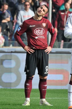 Federico Bonazzoli player of Salernitana, during the match of the Italian Serie A league between Salernitana vs Torino final result, Salernitana 1, Torino 1, match played at the Arechi stadium.