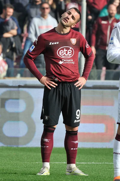 Federico Bonazzoli Player Salernitana Match Italian Serie League Salernitana Torino — Fotografia de Stock
