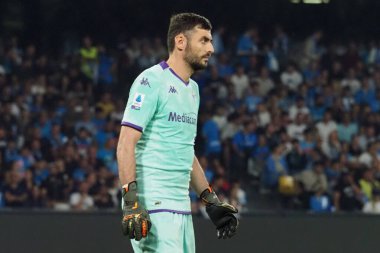Fiorentina 'lı Pietro Terracciano oyuncusu, Napoli - Fiorentina final maçı sırasında Diego Armando Maradona Stadyumu' nda oynanan Napoli 1, Fiorentina 3 maçında.