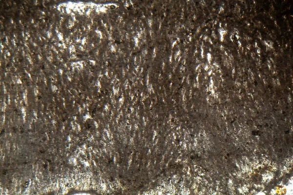 Микроскопическая Фотография Тонкого Сечения Известкового Туфа Голоценового Возраста — стоковое фото