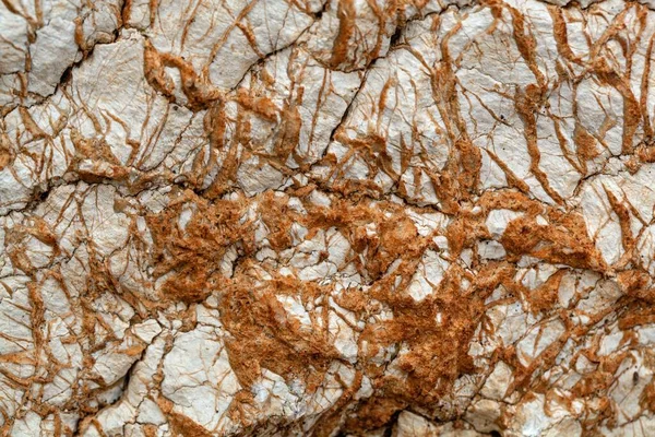 ギリシャのコルフからジュラ紀の炭酸塩岩中の細脈 — ストック写真