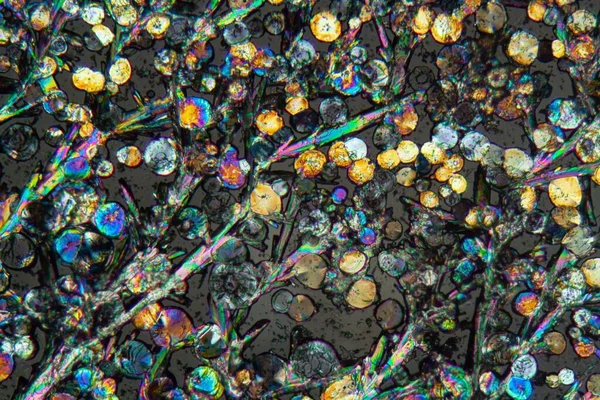 Microscope Photo Washing Powder Particles Polarized Light — Stock Photo, Image