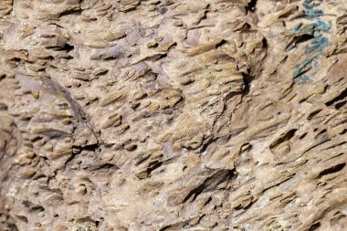 Gözenekli volkanik bir kayanın yüzeyi. 