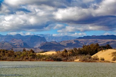 La Charca ve Maspalomların kum tepeleri, Büyük Kanarya, İspanya.