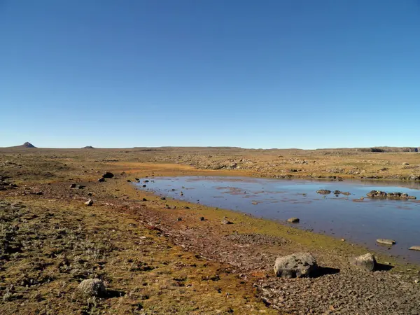 Etiyopya 'daki Bale Dağları Ulusal Parkı' ndaki Sanetti Platosu.