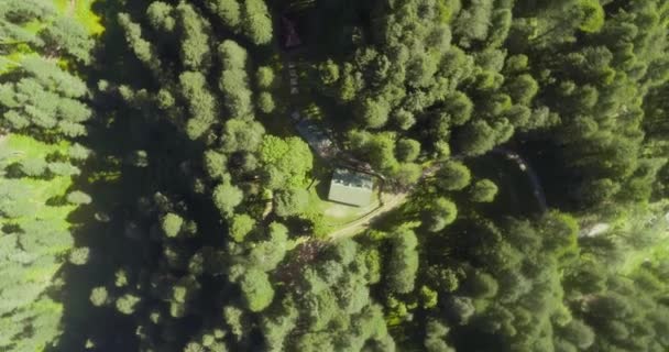 360度ドローンカメラ放棄された孤独な小屋の回転山岳地帯の緑豊かな森に囲まれています 太陽光線はカメラに落ちる 息をのむような景色4Kの緑の森の中に一人で古い家を隔離しました — ストック動画