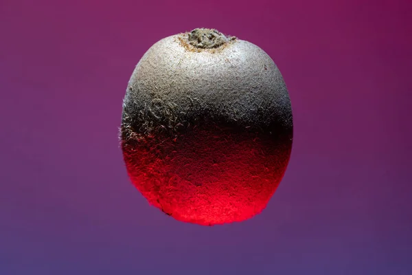 Flytande Kiwi Med Röd Botten Och Ljus Topp Kreativ Frukt — Stockfoto
