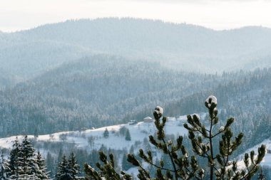 Karla kaplı Zlatar Dağı manzarası