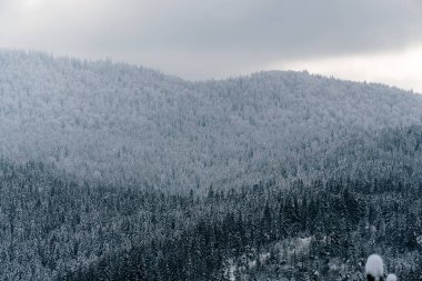 Karla kaplı Zlatar Dağı manzarası