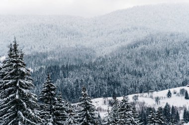 Karla kaplı Zlatar Dağı manzarası
