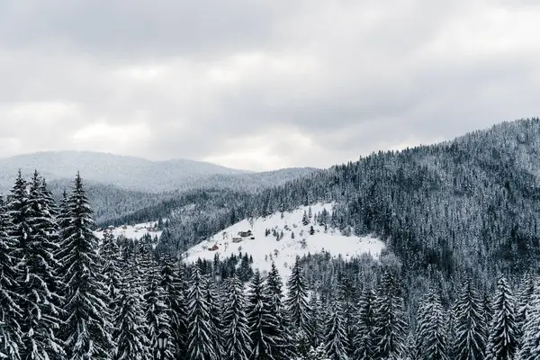 Karla kaplı Zlatar Dağı manzarası