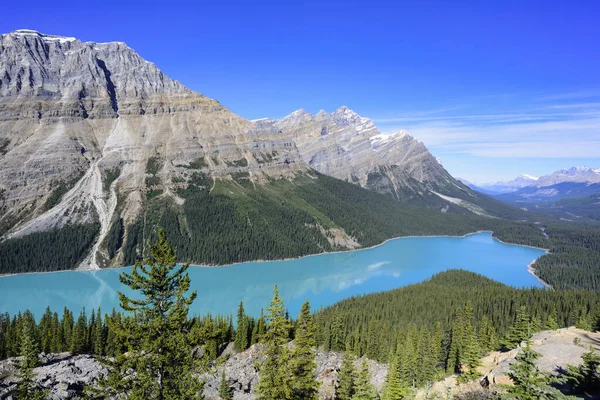 A view of the turquoise blue water of Peyto Lake in the Canadian Rockies, Alberta.  The color of the water is caused by minerals in the glacial runoff water, known as rock flour.