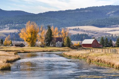 A beautiful rural landscape with a river in the mountains and a farm with an old white farmhouse and a red barn with orange autumn trees in Idaho, USA.