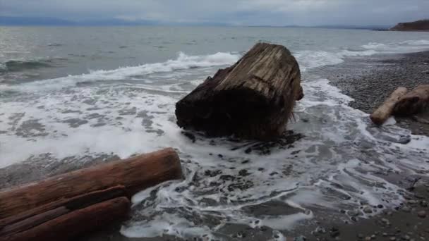 Uma Cena Câmera Lenta Ondas Fluindo Sobre Uma Praia Areia — Vídeo de Stock