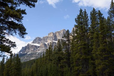 A view of the majestic Castle Mountain in Banff National Park, Alberta, Canada, with pristine forest and the Bow River in the foreground.