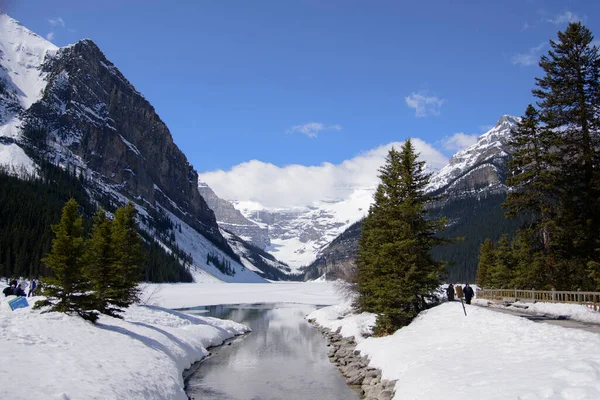 A winter view of the forest and rocky mountains surrounding Lake Louise in Alberta's Banff National Park.