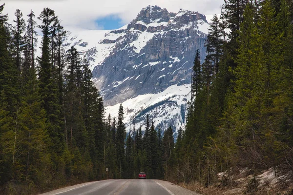 A small red car on the road, surrounded by tall trees with a towering snow-capped mountain peak in the background. Photographed in Yoho National Park, British Columbia.