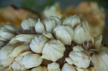 Borneo Malezya 'nın Tarap meyvesiyle yakınlaş. Asya meyve kavramı