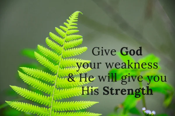 Give God your weaknesses and He will give you His Strength quote with palm leaf background.