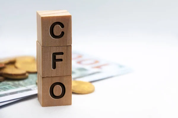 Chief Financial Officer - CFO text engraved on wooden blocks with customizable space for text. Copy space and Senior Management concept.