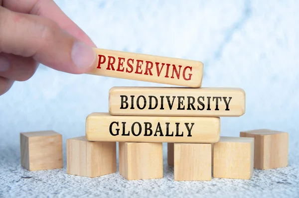 Biodiversität Weltweit Erhalten Text Auf Holzklötzen Naturschutz Und Naturkonzept — Stockfoto
