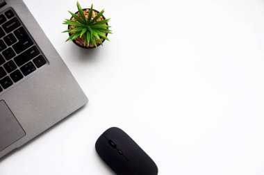 Beyaz kapaklı arka plan üzerinde dizüstü bilgisayarı, masa bitkisi ve faresi olan boşluğun üst görünümü.