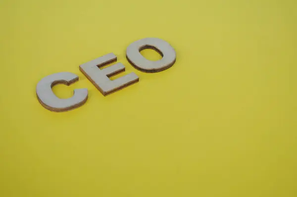 CEO wooden letters on yellow cover background. Senior Executive Level concept.