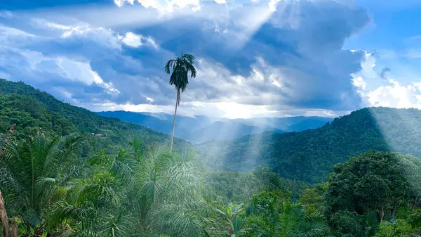 Krásný Přírodní Pohled Hory Stromy Modrou Oblohou Zářící Světlo Koncept — Stock fotografie