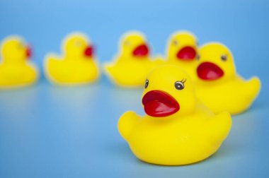 Kauçuk ördeğin önderliğinde kişiselleştirilebilir alanı olan diğer plastik ördeği kapat.