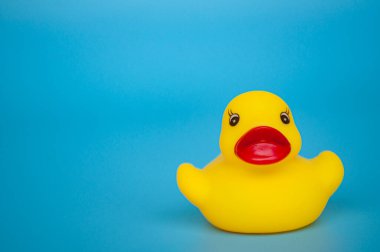 Metin için özelleştirilebilir alanı olan mavi arkaplandaki tek ördeğin görüntüsünü kapat.