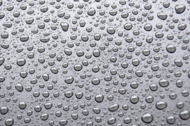 Siyah kapaklı su damlacıklarının üst görünümü.