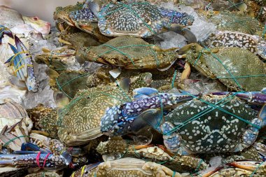 Yengeçlerin pazardaki görüntüsünü kapat. Deniz ürünleri konsepti.